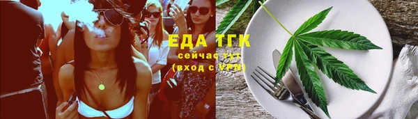 дмт Сатка