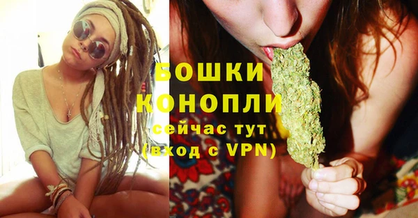 дмт Сатка