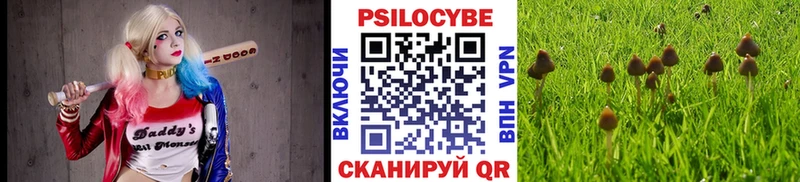 дарк нет наркотические препараты  Луховицы  Галлюциногенные грибы Psilocybe  купить  